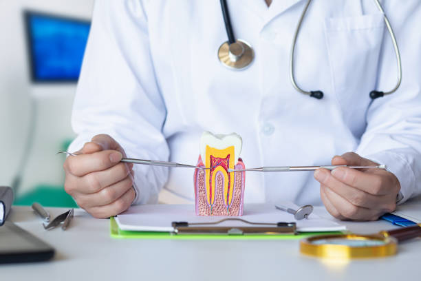 Best Emergency Root Canal Treatment in Webster, TX